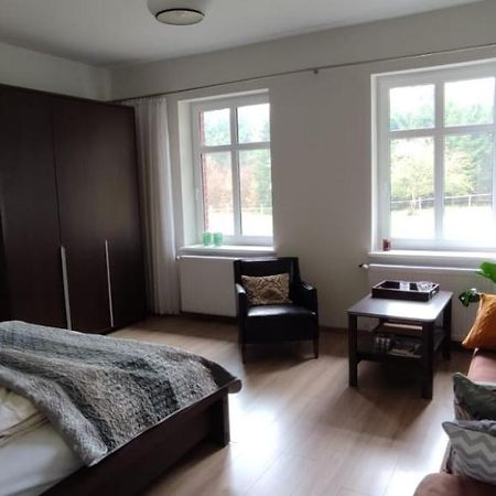Zacisze Pod Bukami Apartment Gornica Екстериор снимка