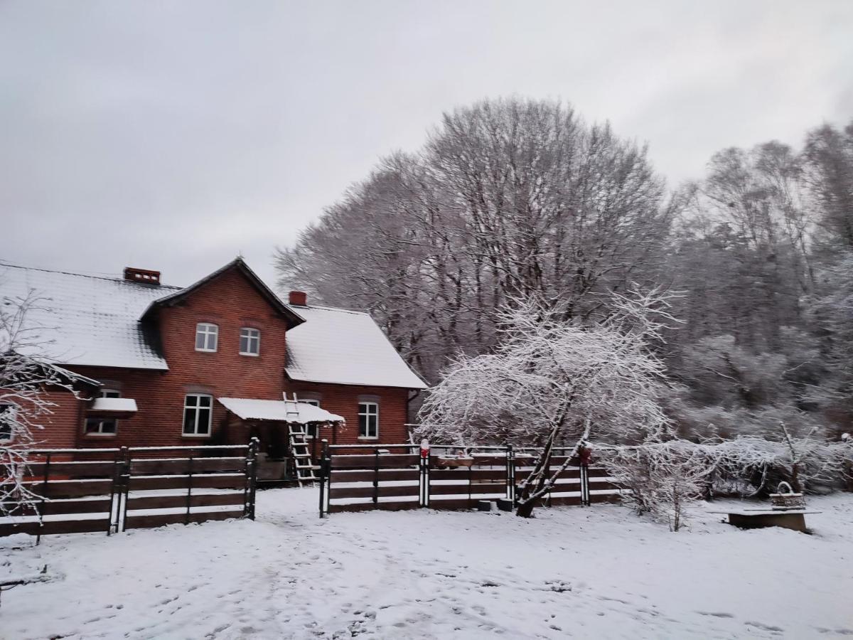 Zacisze Pod Bukami Apartment Gornica Екстериор снимка