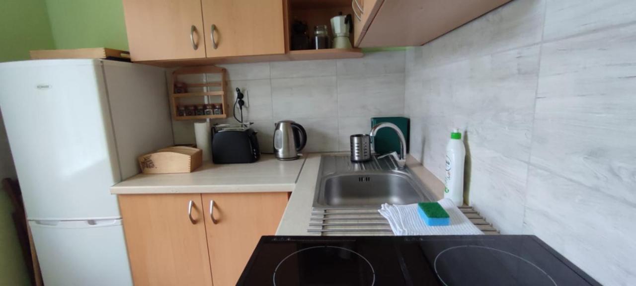 Zacisze Pod Bukami Apartment Gornica Екстериор снимка
