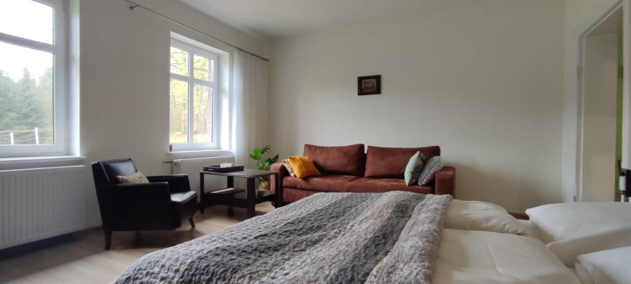 Zacisze Pod Bukami Apartment Gornica Екстериор снимка