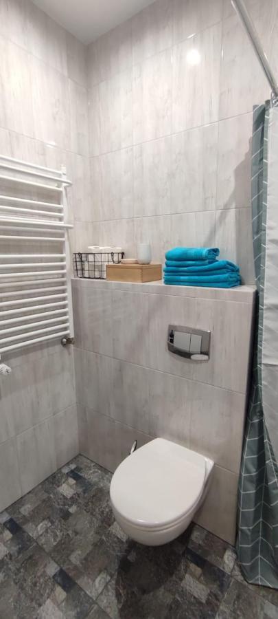 Zacisze Pod Bukami Apartment Gornica Екстериор снимка